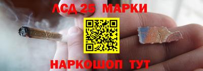 амф Кимры
