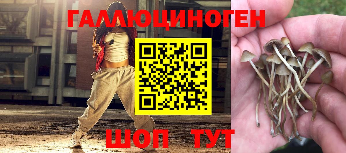 купить наркотики сайты  Галлюциногенные грибы прущие грибы  Вход с VPN  Чебоксары 