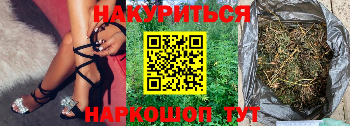 Каннабис сатива Чебоксары